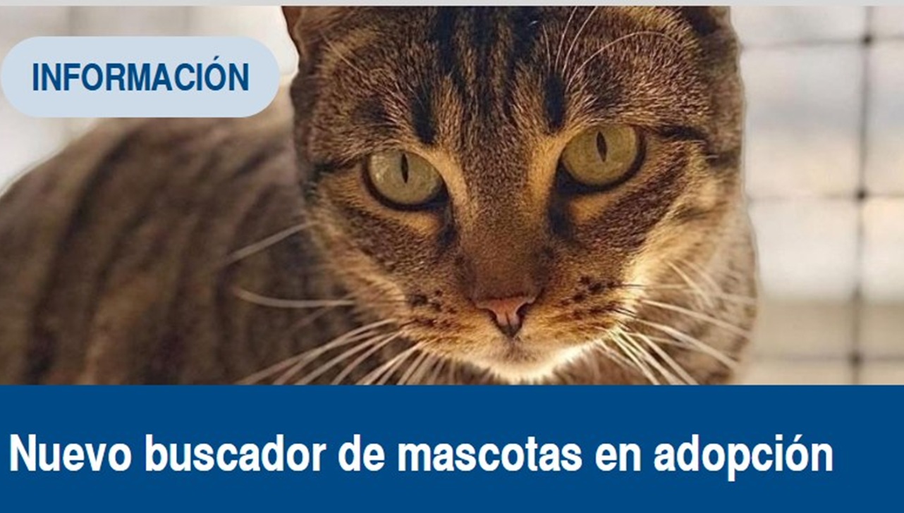 Buscador de Mascotas